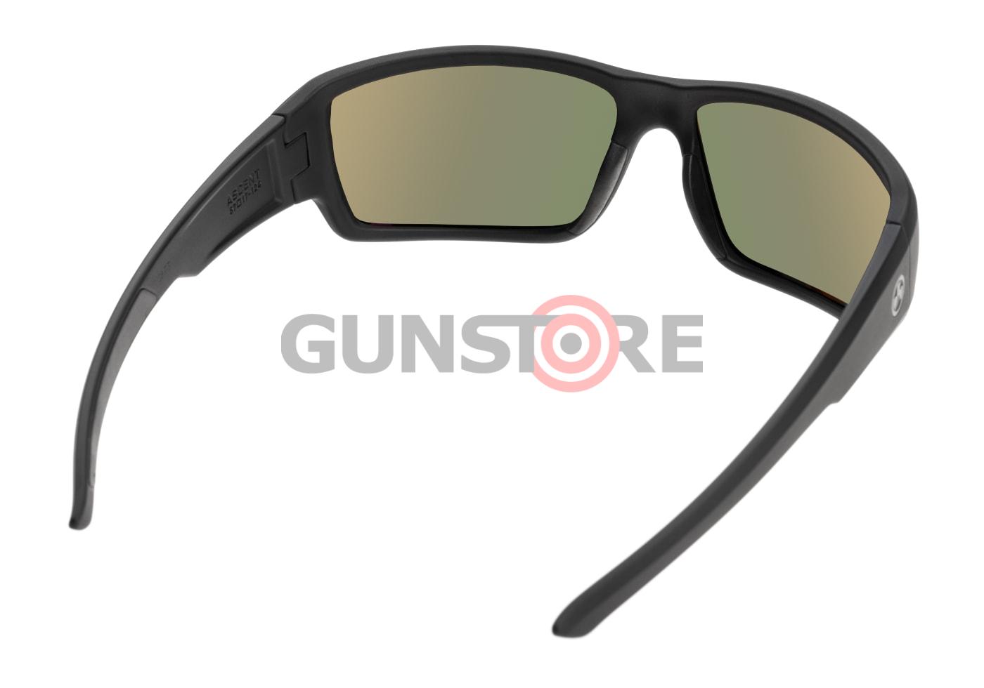 Fotografia: Ascent - Polarized - Black Frame / Gray Green Lens