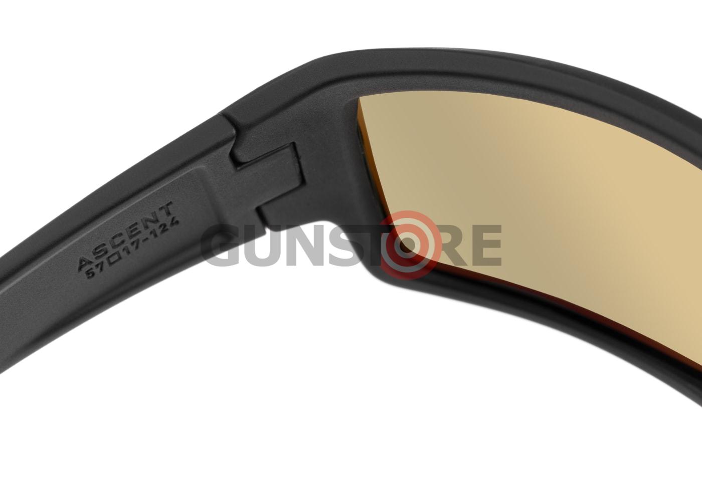 Fotografia: Ascent - Polarized - Black Frame / Gray Green Lens