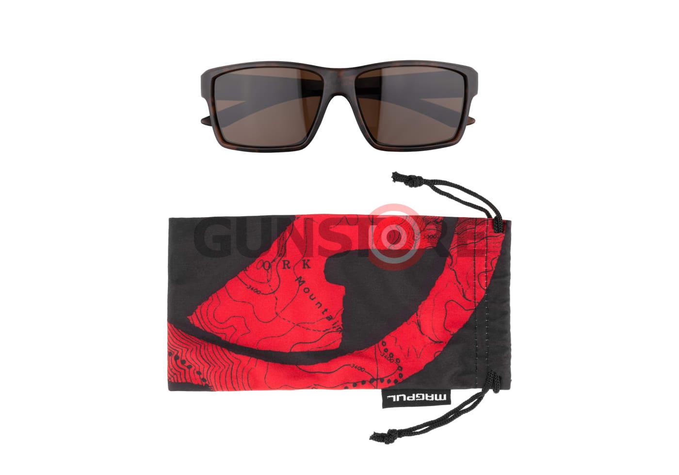 Fotografia: Explorer - Polarized - Tortoise Frame / Bronze Lens