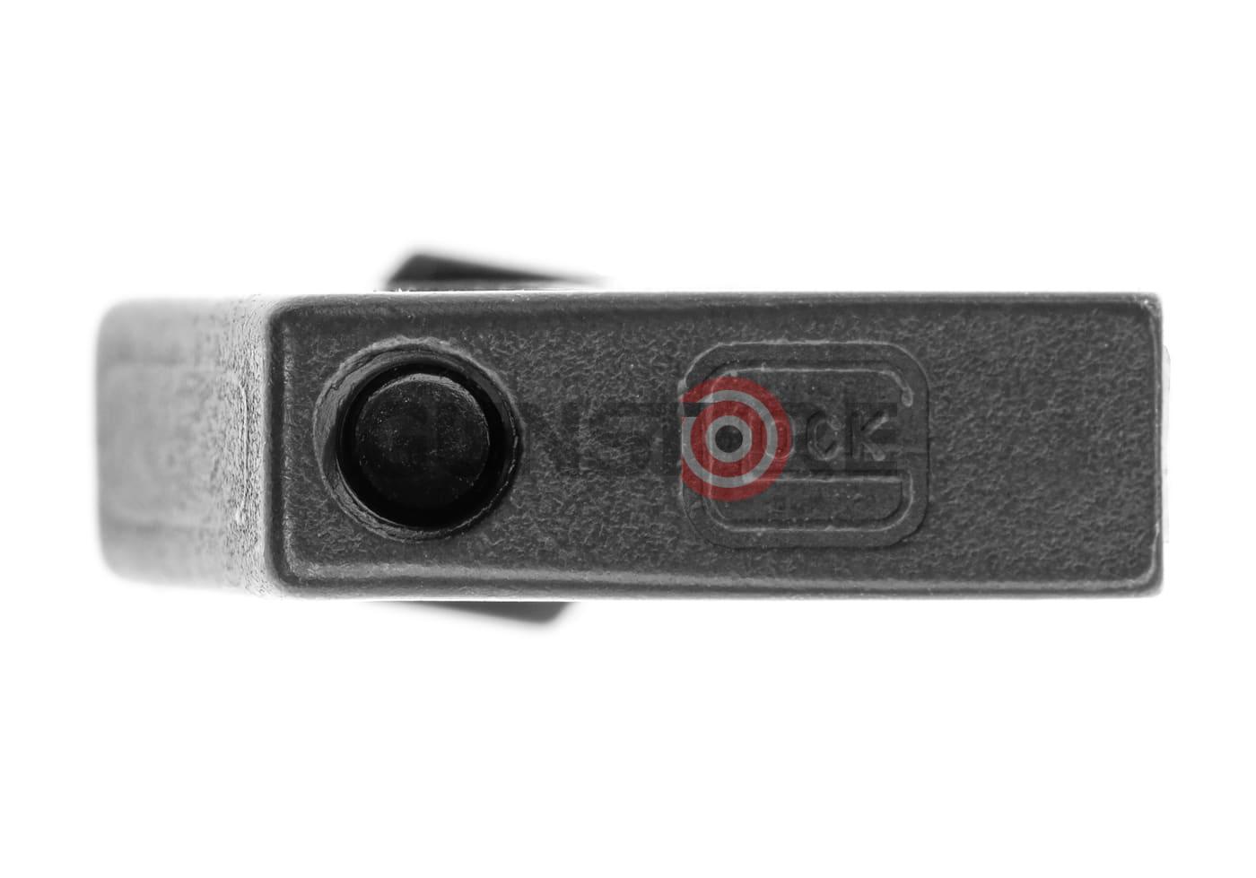 Fotografia: Steel Front Sight GMS 9.1