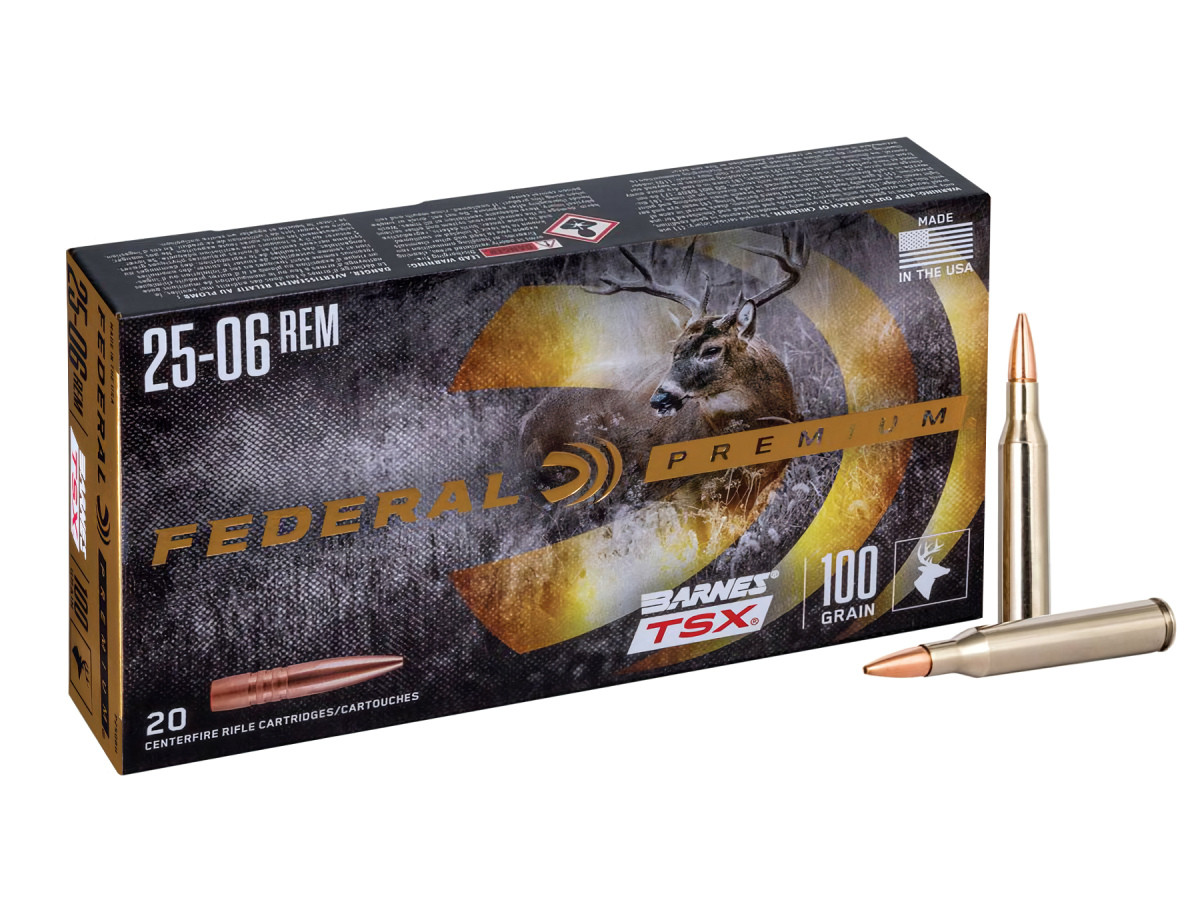 .25-06Rem. Federal Barnes TSX 100gr/6,48g (P2506H)