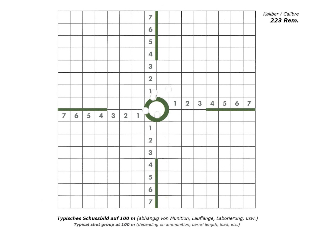 Fotografia: Voere S16 with carbon-barrel (S16 Basic), kal. .223Rem.