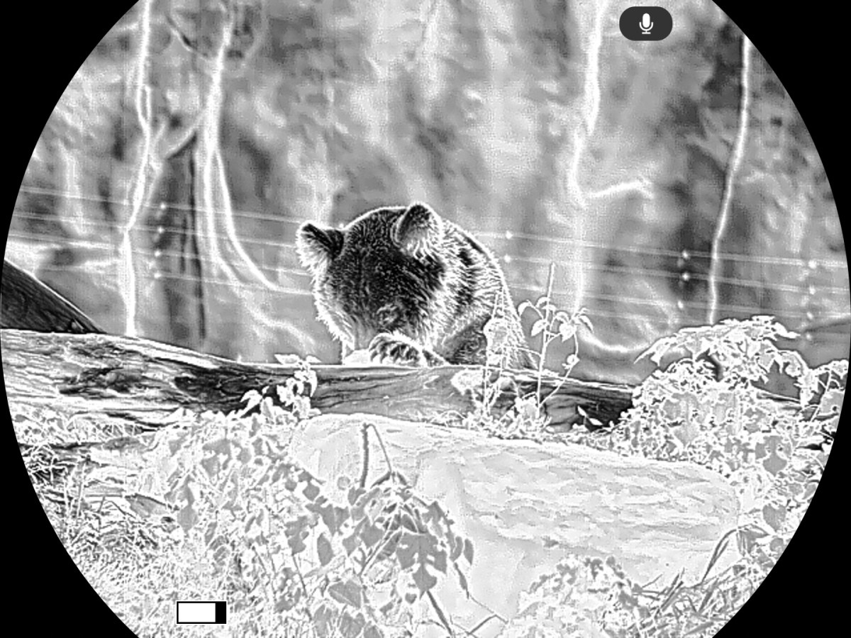 Fotografia: Multispektrálny fúzny binokulár Guide TN650M 2.0