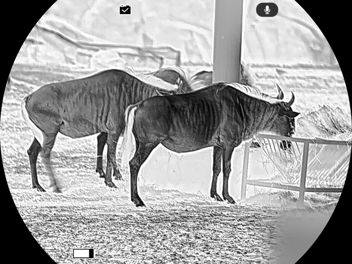 Fotografia: Multispektrálny fúzny binokulár Guide TN650M 2.0