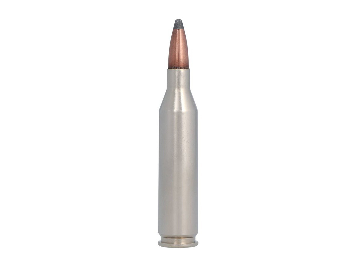 Fotografia: .243Win. Federal Premium Nosler Partition 100gr/6,48g (P243E)