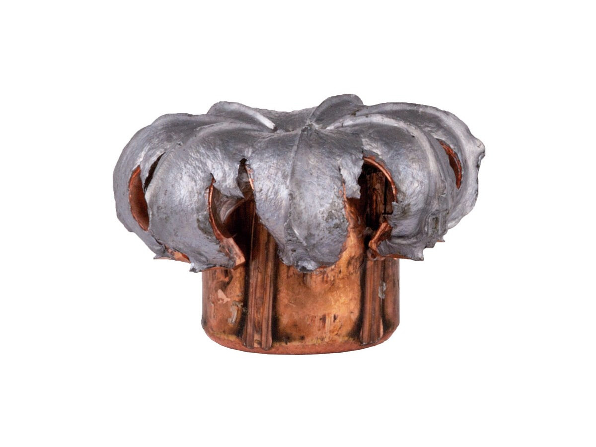 Fotografia: .450 Bushmaster Federal Power-Shok 300gr/19,44g SP (450BMB)