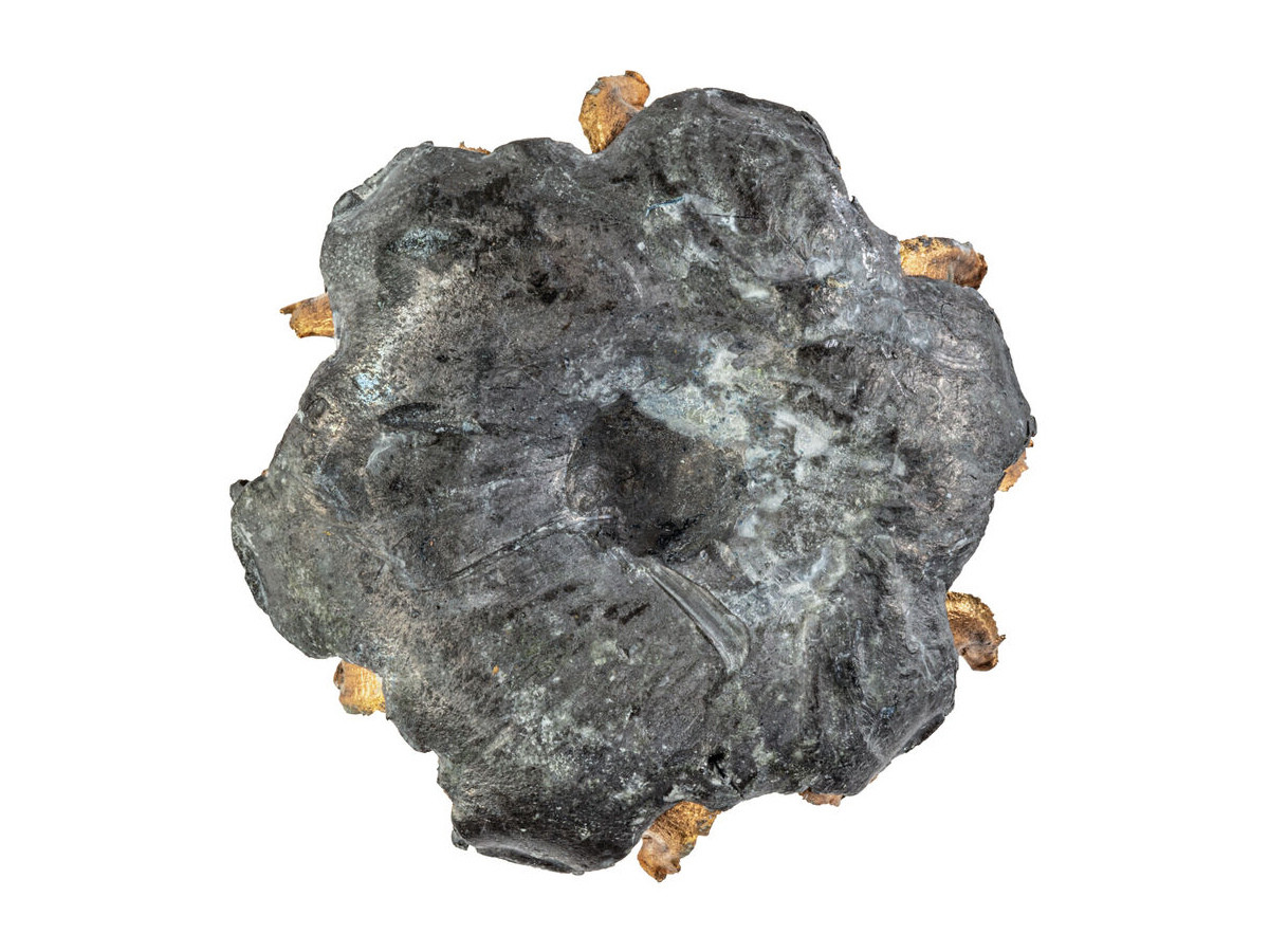 Fotografia: 10mmAuto Federal Personal Defense Punch JHP 200gr/12,96g (PD10P1)