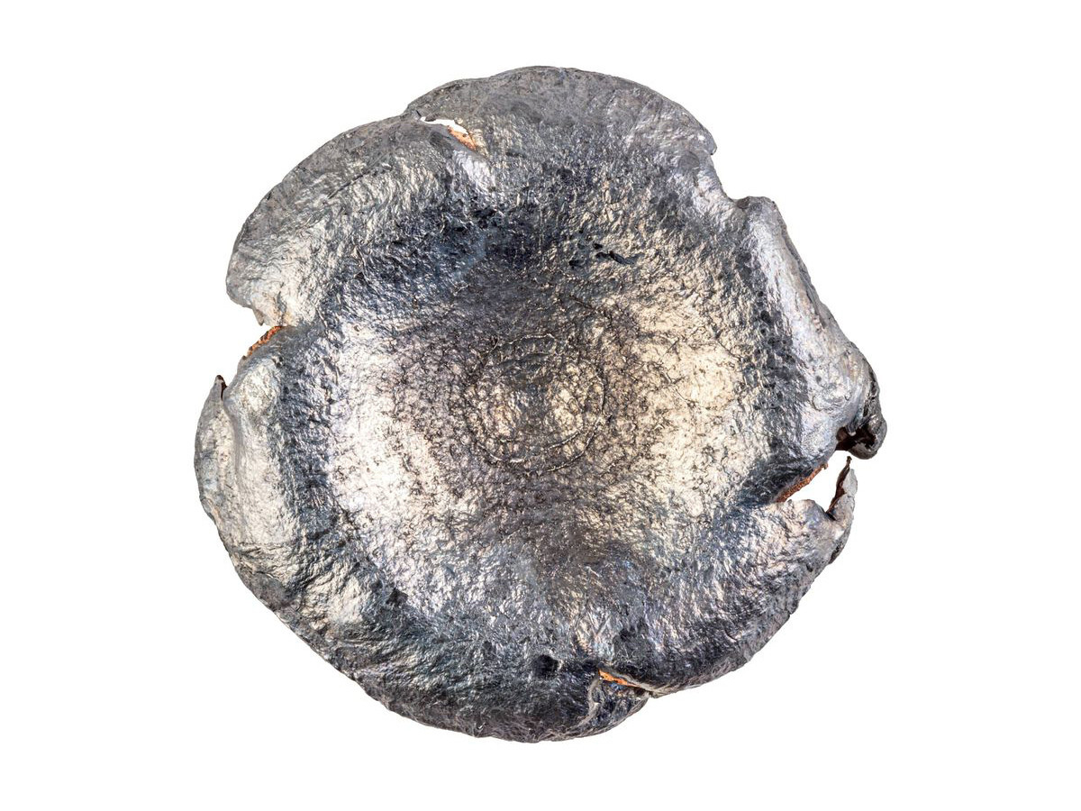 Fotografia: 10mmAuto Federal Premium Swift A-Frame 200gr/12,96g (P10SA)