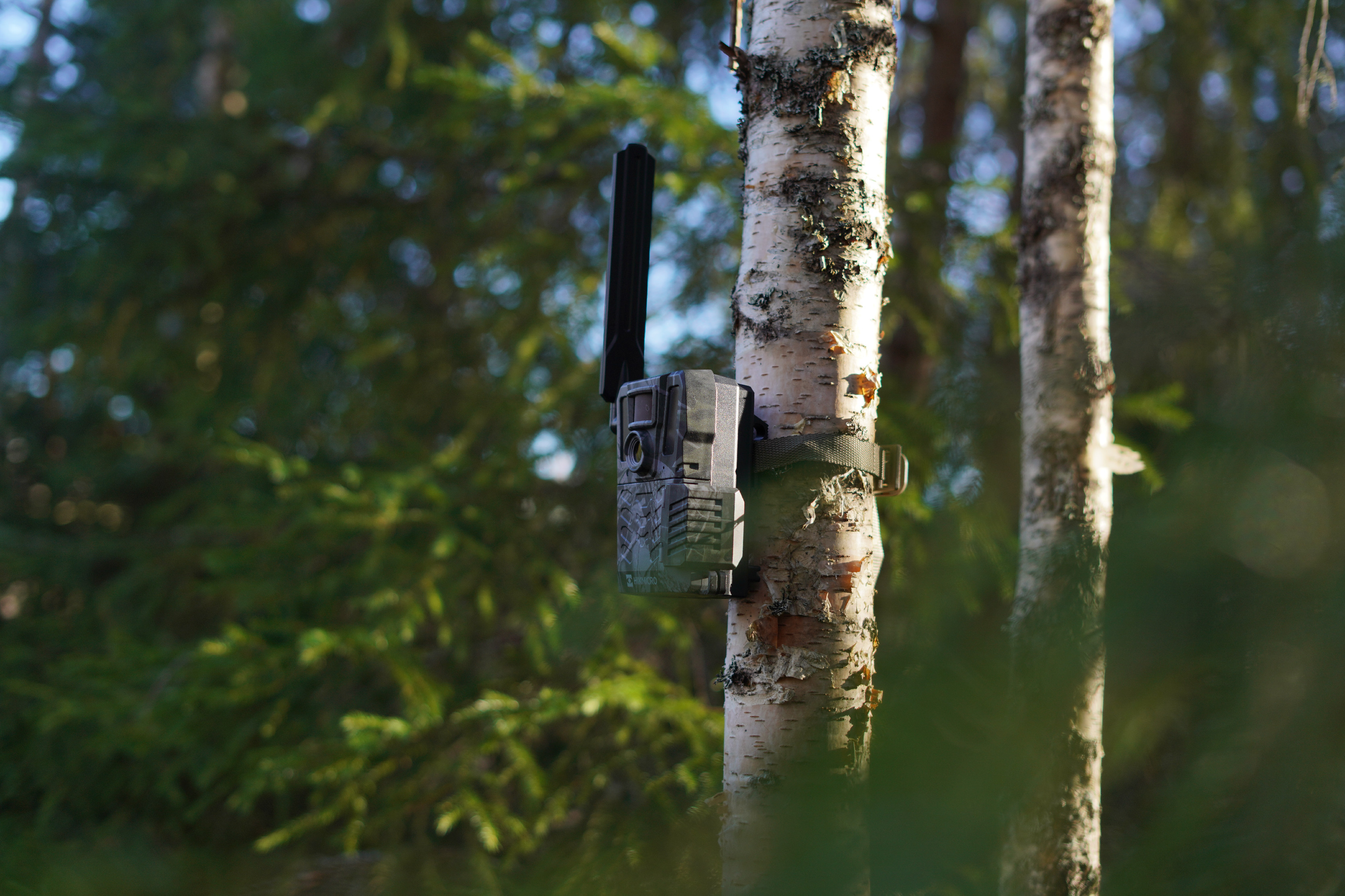 Fotografia: Fotopasca Hikmicro M15